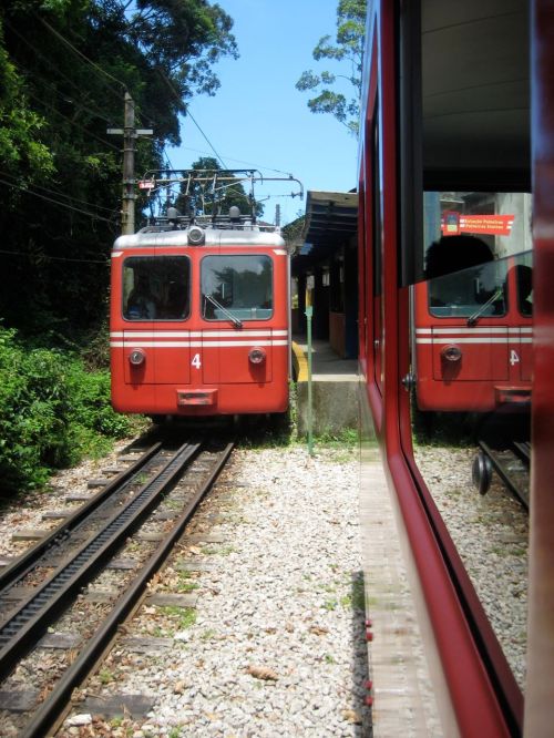 Train through Corcovado's Atlantic forest
